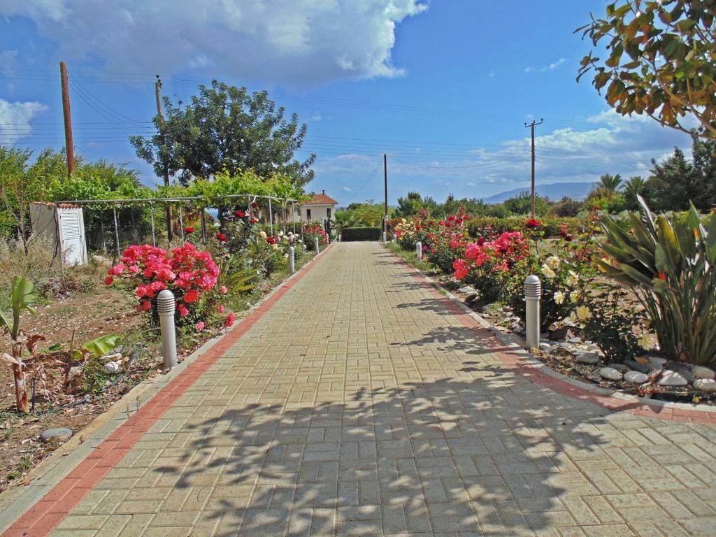 Eliofos Luxury Villa Polis Exterior foto