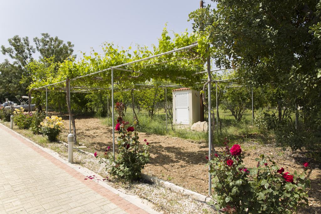 Eliofos Luxury Villa Polis Exterior foto